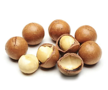 Macadamia Nut