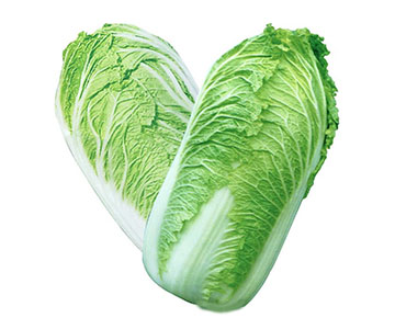 Chinese Cabbage
