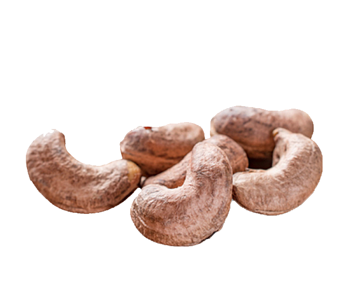 Cashew