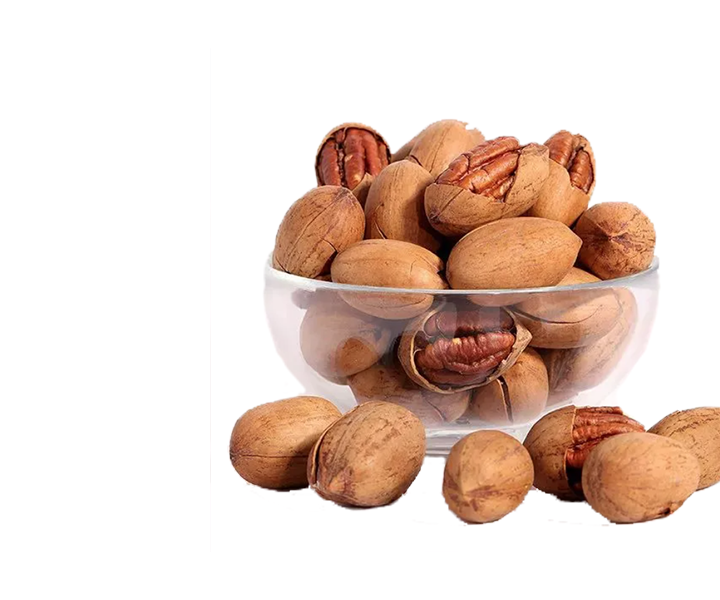 Pecan Nut