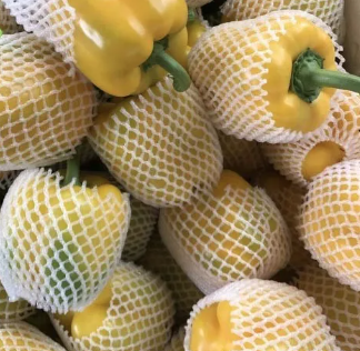 Colorful Pepper