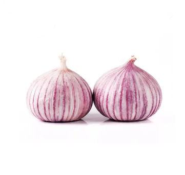 Single clove garlic